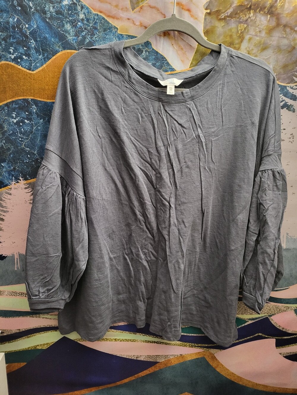 NWOT Time & Tru Top